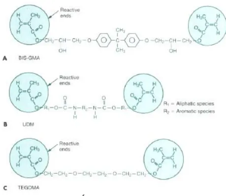 Gambar 1 Monomer metakrilat 5 