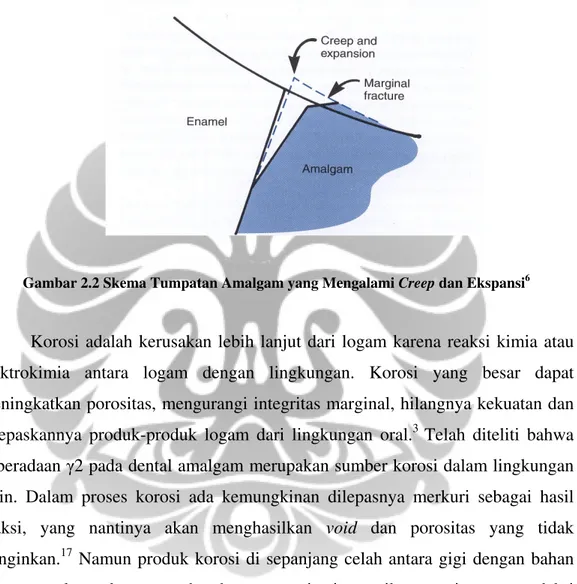 Gambar 2.2 Skema Tumpatan Amalgam yang Mengalami Creep dan Ekspansi 6