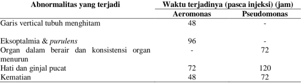 Tabel  di  atas  menunjukkan  menunjukkan  bahwa  prevalensi  bakteri  Pseudomonas  pada  ikan  nila  yang  mengalami  sakit  lebih  tinggi  dibandingkan  Aeromonas,  ini  disebabkan  karena  kemampuan  bakteri  Pseudomonas  untuk  beradaptasi  dengan  kon