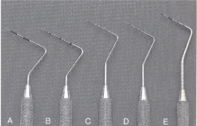 Gambar 2.  Beberapa tipe prob periodontal. (A) Prob Marquis; (B) Prob UNC-15; (C)  Prob Williams; (D) Prob &#34;O&#34; Michigan; (E) Prob WHO