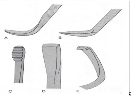 Gambar 5.  Lima bentuk dasar skeler manual. (A) Kuret, (B) Sabit, (C) Kikir, (D)  Pahat  dan (E) Pacul.