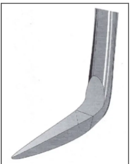 Gambar 6.  Ciri khas skeler sabit: Potongan melintang berbentuk segitiga; sisi pemotong  ganda; dan ujung runcing