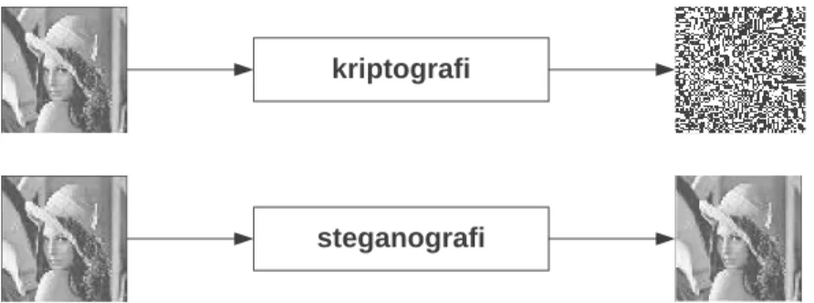 Gambar 2.1.  Ilustrasi kriptografi dan steganografi pada citra digital. 