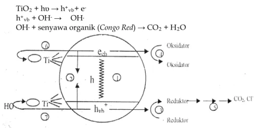 Gambar 8. Mekanisme fotokatalis dari TiO 2  (Hoffmann et al., 1995) 