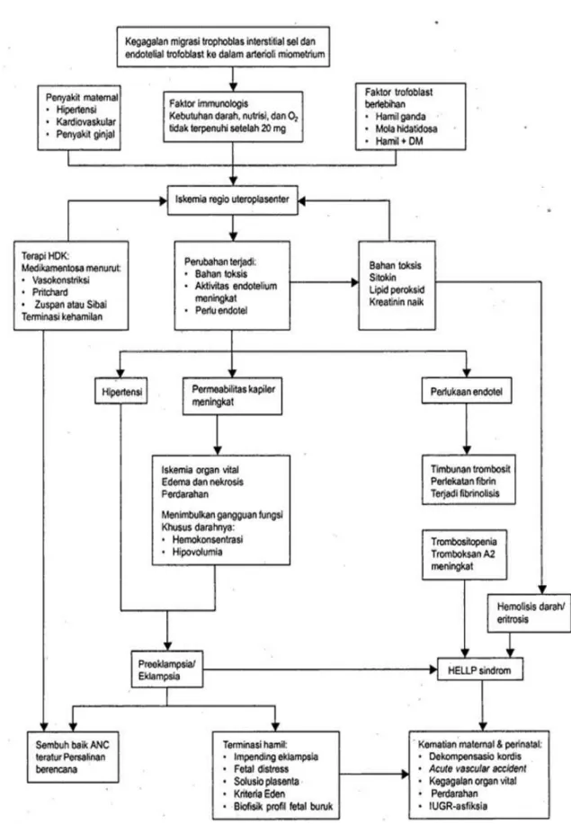 Gambar 1. Patofisiologi Hipertensi dalam Kehamilan  18