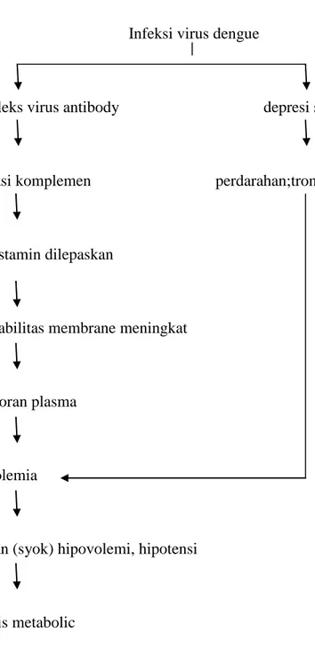 Gambar 2.1. Patofisiologi DBD (Suriadi dan Yuliani, 2010). 