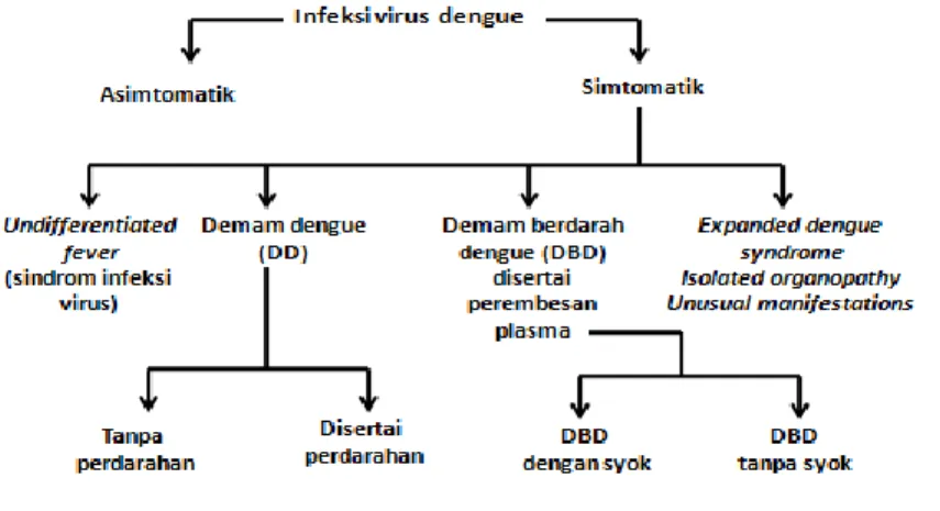 Gambar 1. Skema kriteria diagnosis infeksi dengue menurut WHO 2011                                                  Sumber:World Health  Organization-South East Asia Regional Office