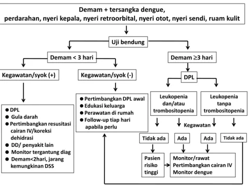 Gambar 3. Jalur triase kasus tersangka infeksi dengue (WHO 2011) 