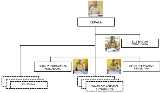 Gambar 1. Struktur Organisasi Balai Litbang P2B2 Banjarnegara Menurut Peraturan Menteri  Kesehatan RI Nomor 920 / Menkes/Per/V/2011 