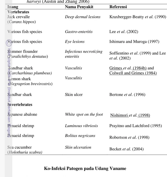Tabel  1.  Penyakit  vertebrata  dan  invertebrata  laut  yang  disebabkan  oleh  Vibrio  harveyi (Austin and Zhang 2006) 