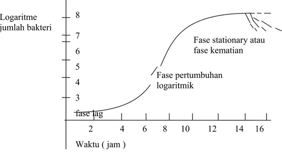 Gambar 2.2 Kurve pertumbuhan bakteri  [26]