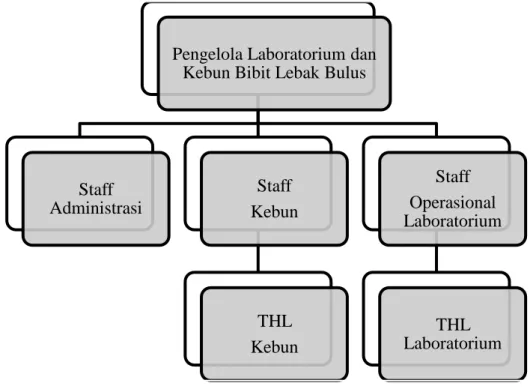 Gambar 1 Struktur Organisasi Laboratorium Kultur Jaringan, Kebun  Bibit  Lebak Bulus  (UPT  Pusat  Pengembangan  Benih,  Pertanian  dan  Kehutanan,  Pemprov  DKI  Jakarta 2011)