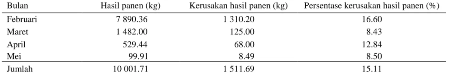 Tabel 6. Hasil panen dan kerusakan hasil panen buah naga putih 