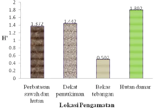 Tabel 5. Keanekaragaman spesies burung di empat lokasi pengamatan pada Repong Damar Pekon Pahmungan, Kecamatan Pesisir Tengah, Kabupaten Lampung Barat selama bulan Juni 2012 