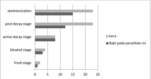 Grafik 2. Perbedaan kecepatan pembusukan pada babi dalam penelitian ini dan kera pada  penelitian di malaysia.