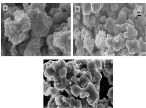 Gambar 2.6 Contoh hasil SEM a)TiO 2  b) N-TiO c) Ni-N-TiO 2  (Dolat et al., 2014) 