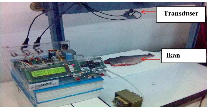 Gambar 1. Konfigurasi pengukuran tingkat kesegaran ikan. 