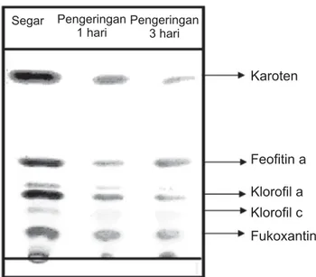 Gambar 2.  Pola spektra ekstrak kasar Sargassum  sp. segar (――), pengeringan satu hari     (------), dan pengeringan tiga hari (.....