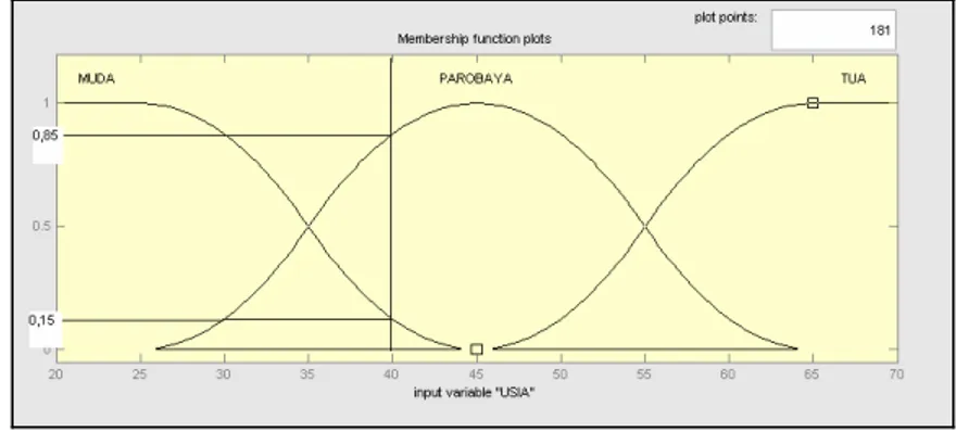 Gambar 3  Fungsi keanggotaan ”USIA” dengan representasi  sigmoid. 