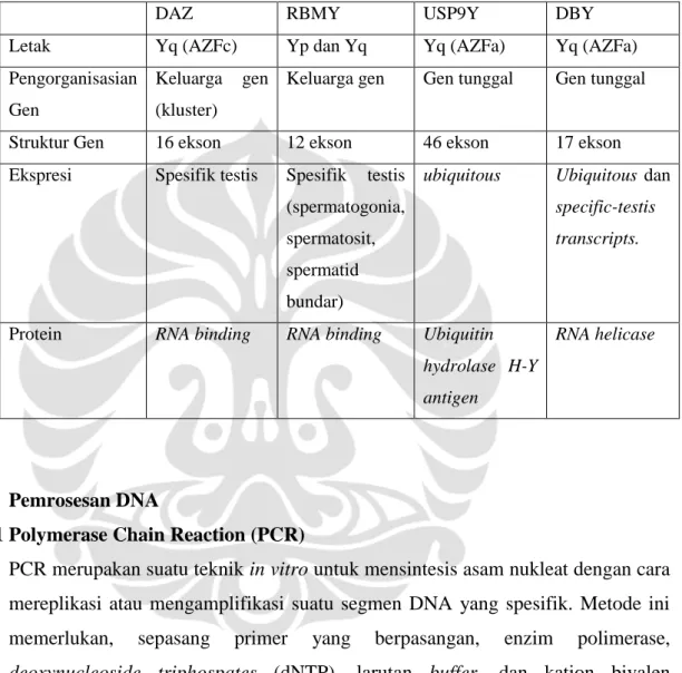Tabel 2.1  Perbandingan  karakteristik  gen-gen  kandidat  AZF:  DAZ,  RBMY,  USP9Y, dan DBY 