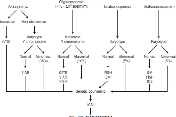 Gambar 1 Algoritma  untuk evaluasi  genetik pria infertil untuk menjalani intracytoplasmic sperm injection (ICSI)