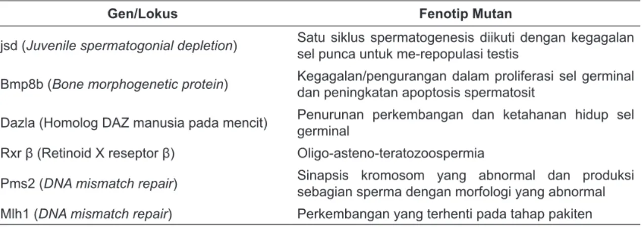 Tabel 1.Lokus Autosom dan Gen yang Terdelesi sehingga Menyebabkan  Infertilitas 15