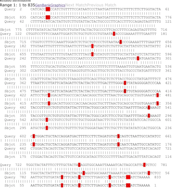 Gambar 2.   Homologi Sekuen Produk PCR dengan Integrase HIV-1 pada  Genbank. 