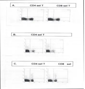 Gambar 2: A) Kontrol negatif dari deteksi spesifik epitope