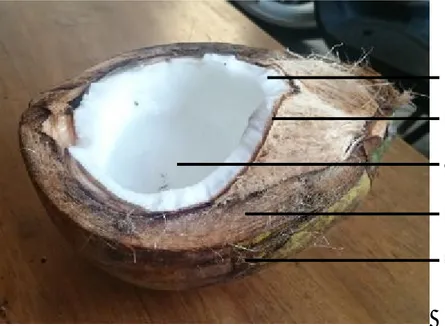 Gambar 2.1 komposisi buah kelapa  