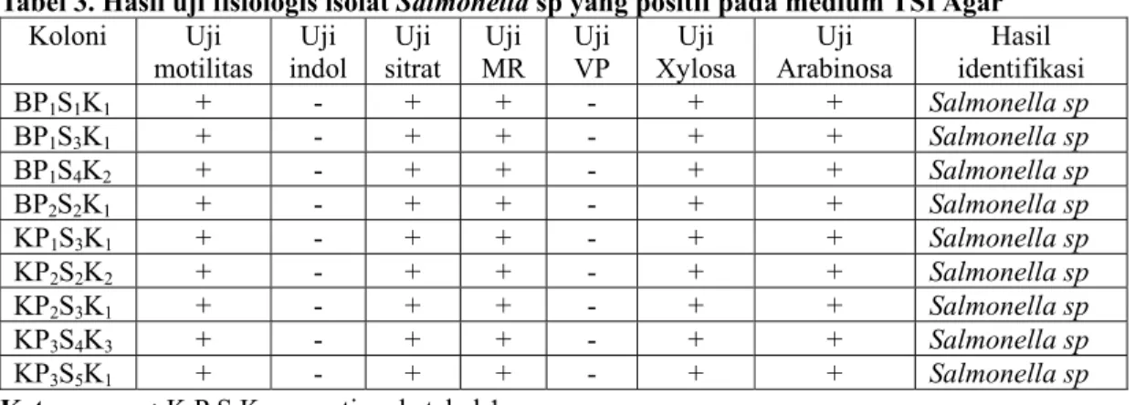 Tabel 3. Hasil uji fisiologis isolat Salmonella sp yang positif pada medium TSI Agar Koloni Uji  motilitas  Uji  indol  Uji  sitrat Uji MR Uji VP Uji  Xylosa Uji  Arabinosa  Hasil       identifikasi BP 1 S 1 K 1  + -  +  +  - +  + Salmonella sp  BP 1 S 3 K