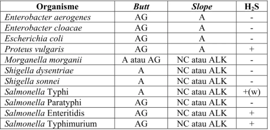 Tabel 1. Reaksi typical Salmonella dan anggota Enterobacteriaceae yang lain                 dalam medium TSIA 