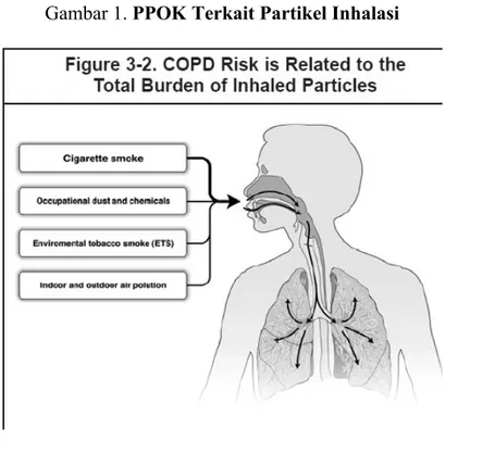Gambar 1. PPOK Terkait Partikel Inhalasi