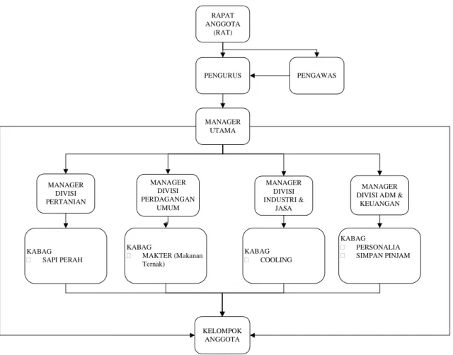 Gambar 3.3. Struktur Organisasi KUD Mandiri Bayongbong 