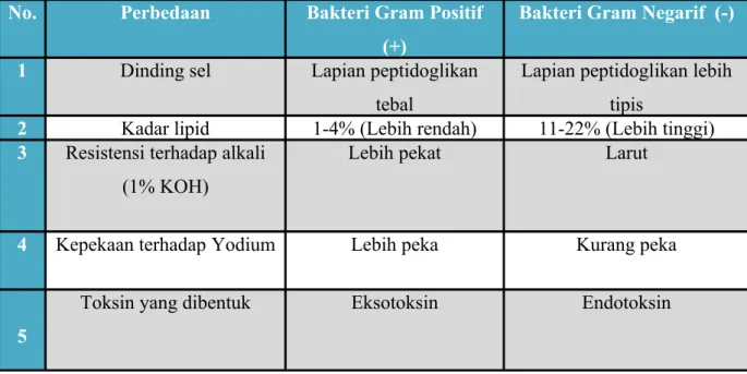 Tabel 3. Perbedaan  sifat yang dapat dijumpai antara bakteri Gram  positif dan bakteri Gram negatif  (Filzahazny, 2008)