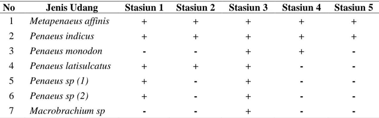 Tabel 2. Keberadaan Jenis Udang di Setiap Stasiun 