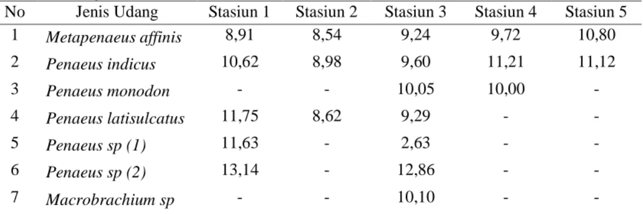 Tabel  6.  Rata-Rata  Diameter  Tubuh  (cm)  Udang  yang  Ditemukan  pada  Setiap  Stasiun  Pengamatan 