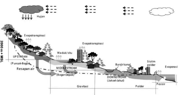 Gambar 1.9 Profil memanjang sungai Ciliwung dan daur hidrologinya 