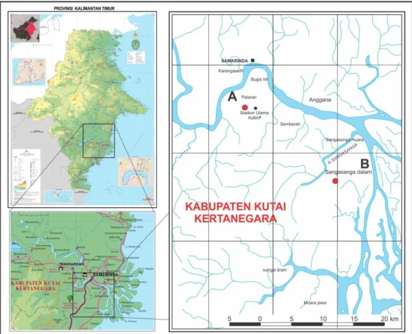 Gambar I.1. Peta lokasi penelitian. Lokasi penelitian berada di daerah Palaran Stadion Utama dan  Sanga-Sanga, Kutai Kertangera, Kalimantan Timur