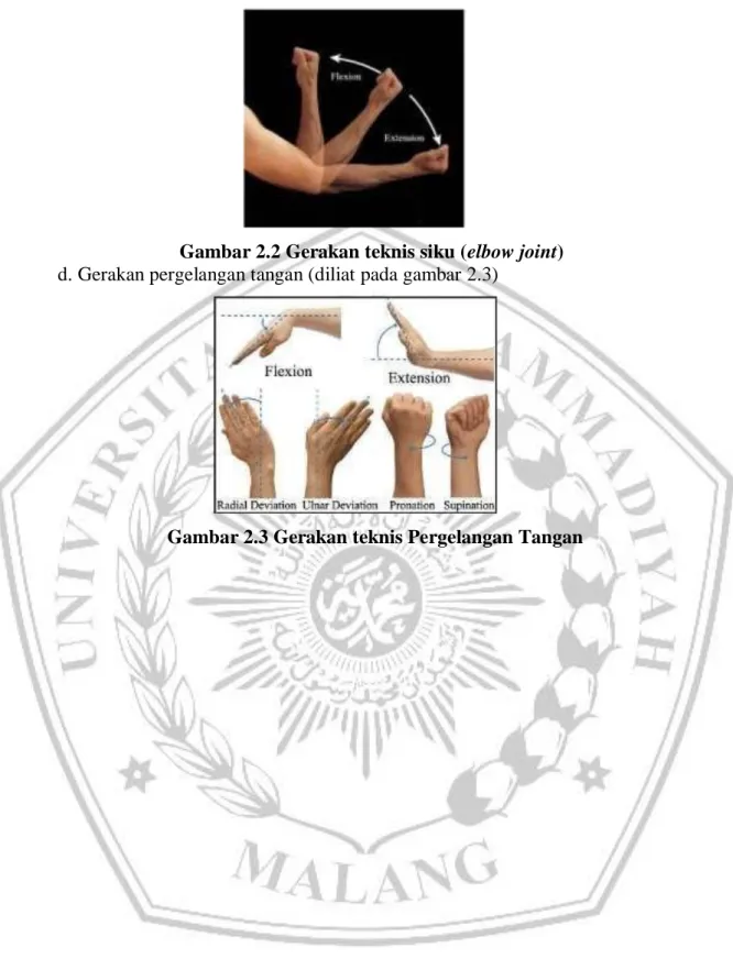 Gambar 2.2 Gerakan teknis siku (elbow joint)  d. Gerakan pergelangan tangan (diliat pada gambar 2.3) 