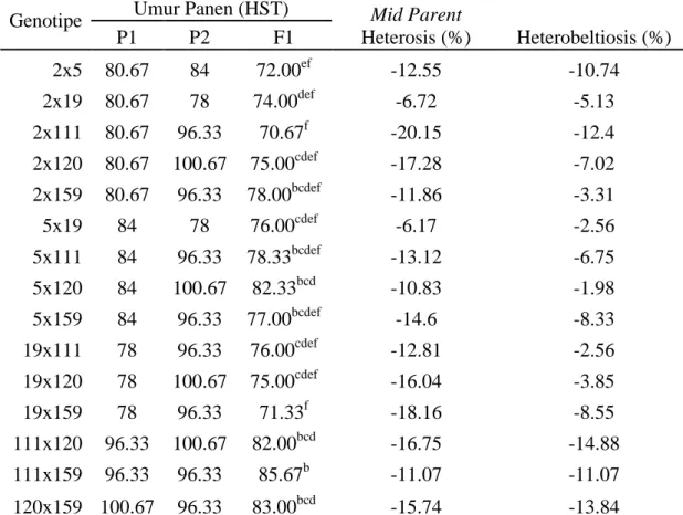Tabel 3. Umur panen (HST) P1, P2 dan F1 serta nilai heterosis dan heterobeltiosis. 