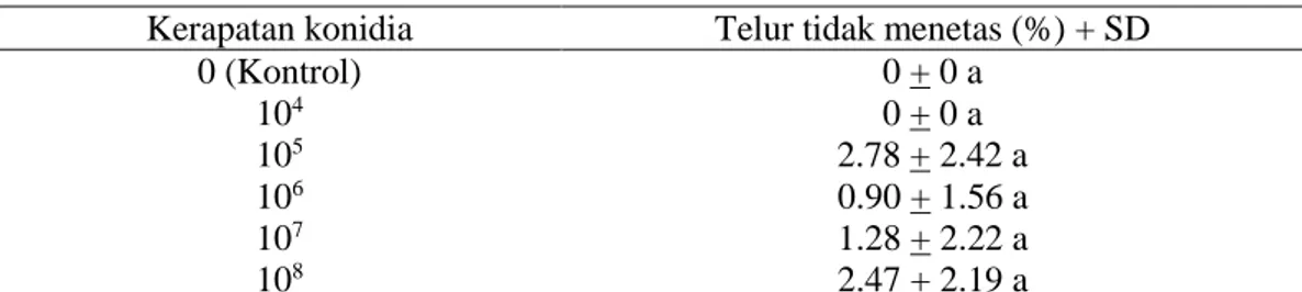 Tabel 2  Telur D. citri yang tidak menetas setelah aplikasi L. lecanii  Kerapatan konidia  Telur tidak menetas (%) + SD 