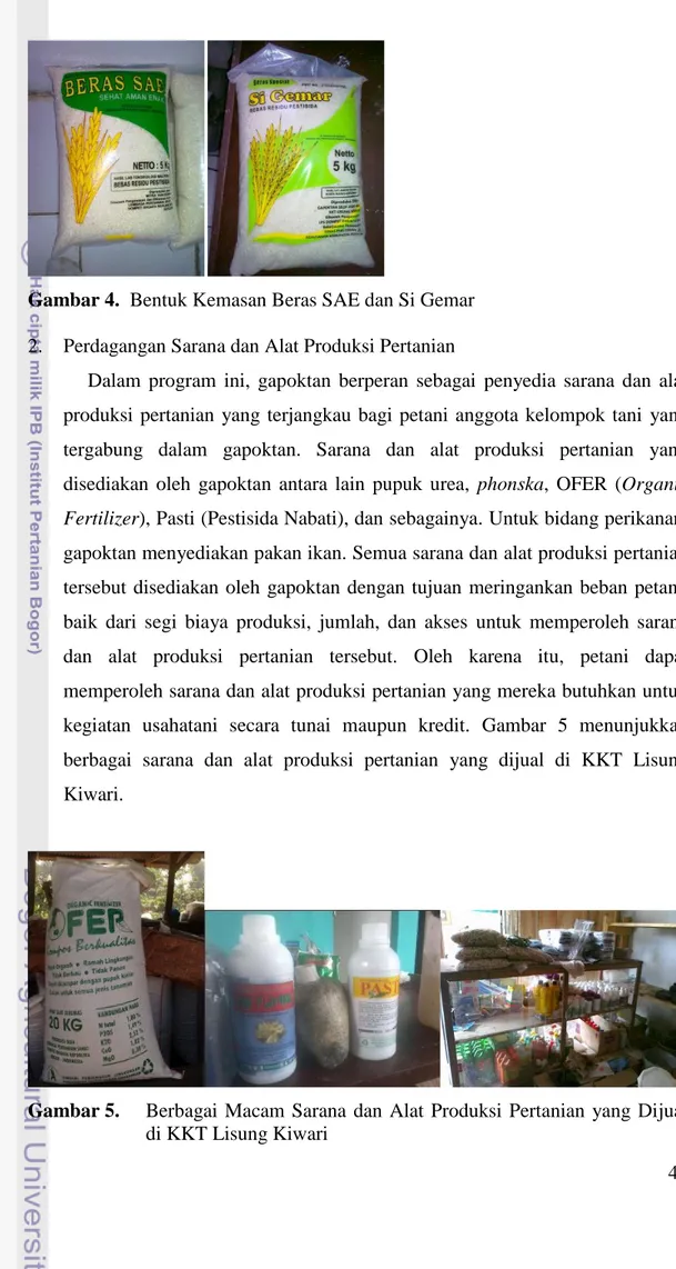 Gambar 5.  Berbagai  Macam  Sarana  dan  Alat  Produksi  Pertanian  yang  Dijual  di KKT Lisung Kiwari 
