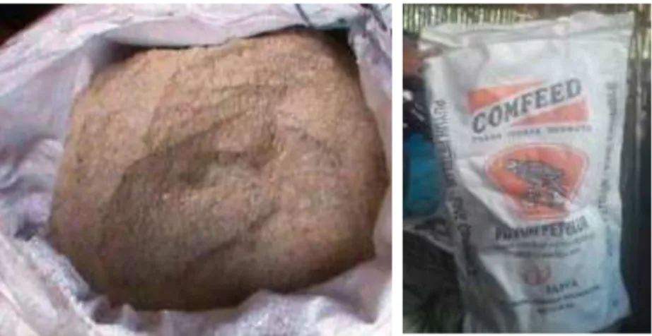 Gambar 5. Bahan pakan yang digunakan