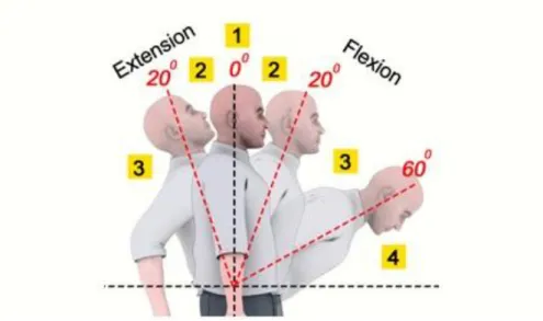 Gambar 6. Skoring pada Badan 