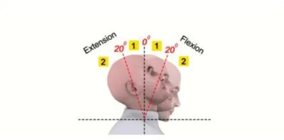 Gambar 7. Skoring pada Leher 