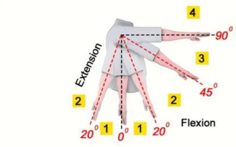 Gambar 9. Skoring pada Lengan Atas 