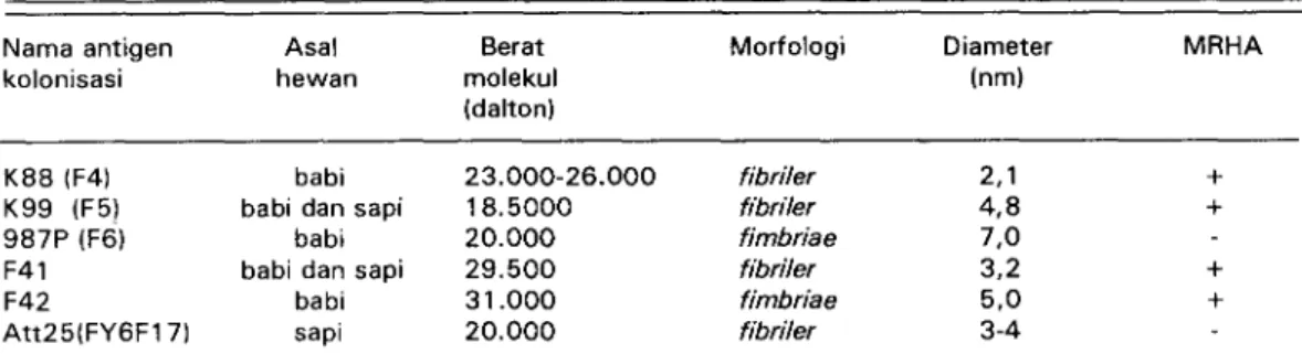 Tabel 2. Sifat antigen perlekatan pada E. coli enterotoksigenik penyebab diare pada anak hewan ternak neonatal