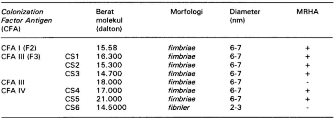 Tabel 5. Asosiasi antara antigen kolonisasi dan sifat enterotoksigenisitas ETEC asal manusia Colonization Sifat enterotoksigenisitas