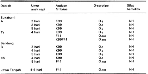 Tabel 7 . Antigen kolonisasi dari E. coli enterotoksigenik dari anak sapi perah penderita diare umur 3-5 hari