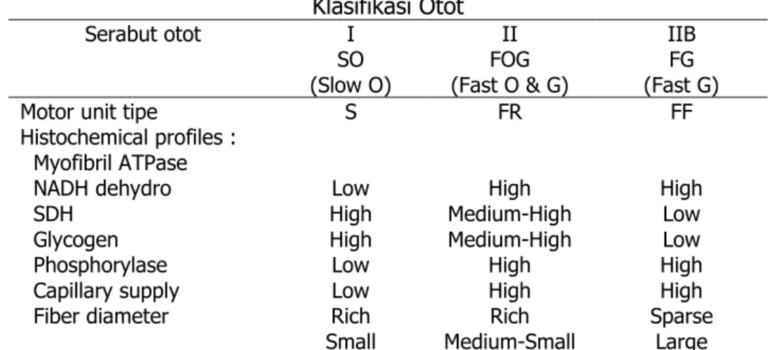 Tabel 1   Klasifikasi Otot  Serabut otot  I  SO  (Slow O)  II  FOG  (Fast O &amp; G)  IIB FG  (Fast G)  Motor unit tipe 